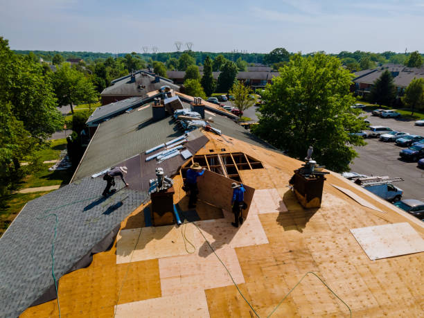 Trusted Roof Replacement service in Allen, NE - Brentwood Metal Roofing